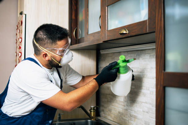 Professional Pest Control in Land O Lakes, FL