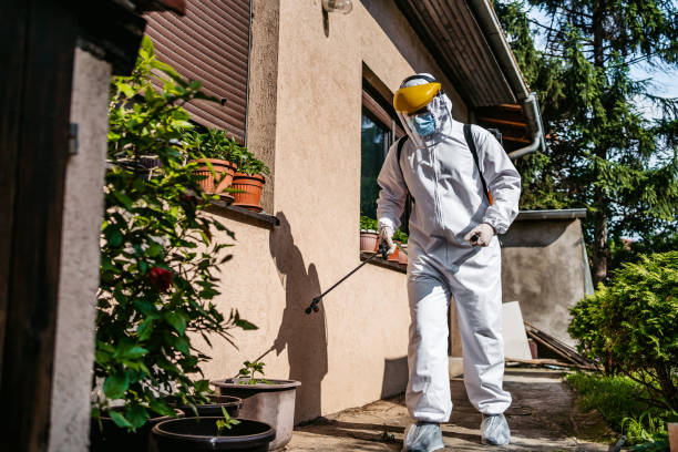 Best Termite Control Services  in Land O Lakes, FL