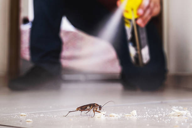 Best Emergency Pest Control  in Land O Lakes, FL