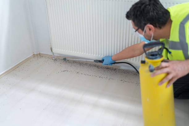 Best Rat Extermination Near Me  in Land O Lakes, FL